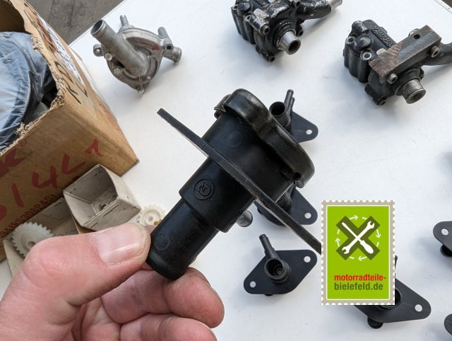 PXL_20240528_140256293